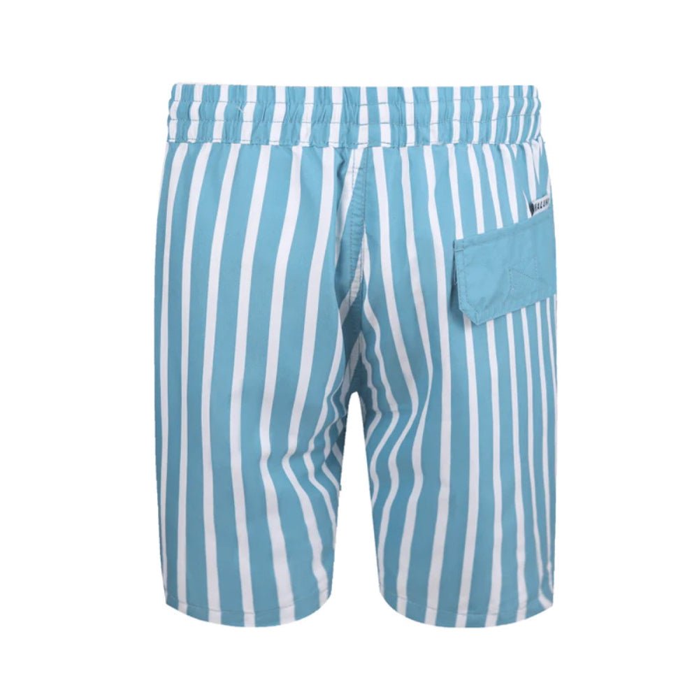 Aqua Stripe Men's Boardshorts - Bare Essentials